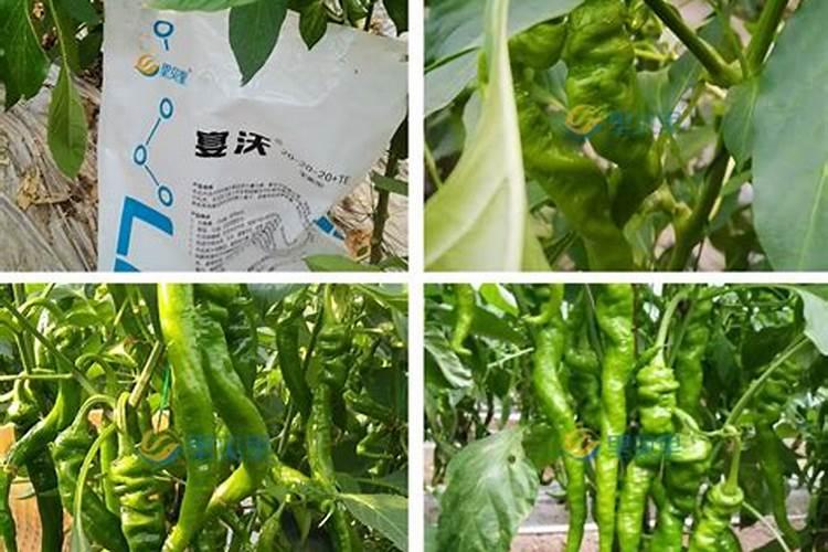 氮肥复合肥区别 氮肥和复合肥区别