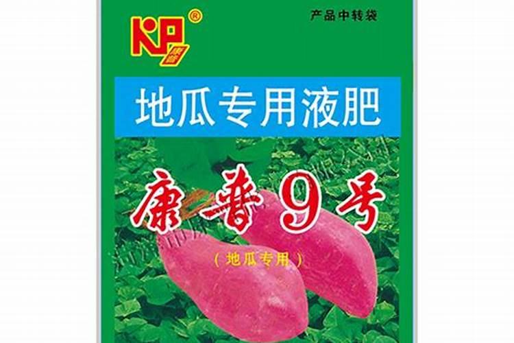 怎么判断黄豆发酵好了