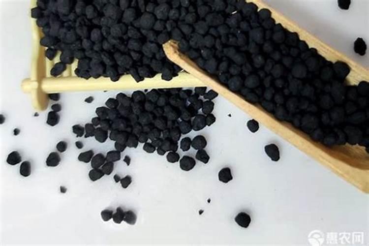 蝴蝶兰用什么肥料好