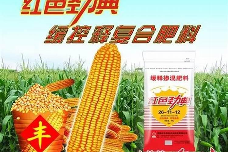 氮钾肥是什么肥料
