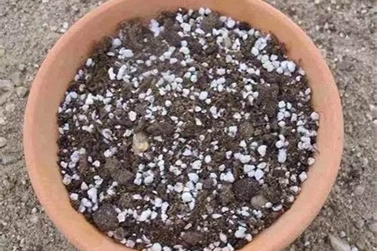 花开时施什么肥最好