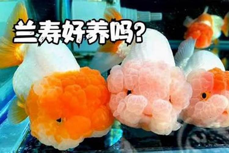 胡萝卜苗后除草有没有什么有效的除草剂？