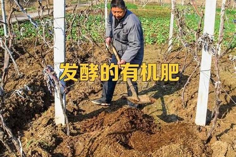 大田肥料配比换算到盆栽