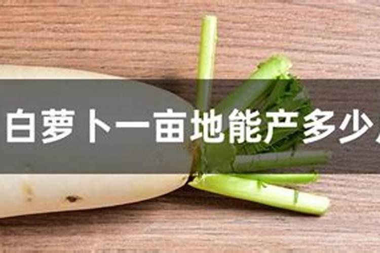 水溶肥兑水后30斤能打几亩地