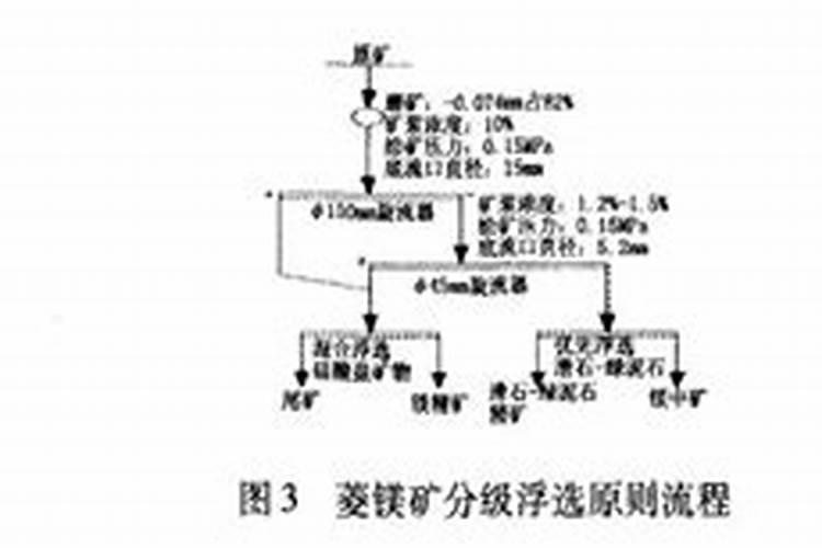 文竹浇什么肥料合适