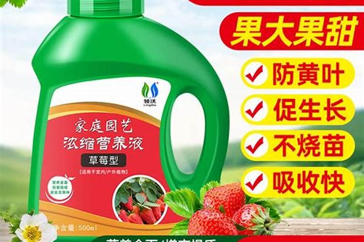 兰花多久浇一次水比较好？