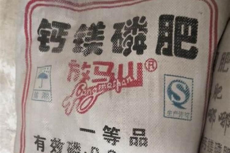 回收种姜需注意什么 种生姜如何整地施肥