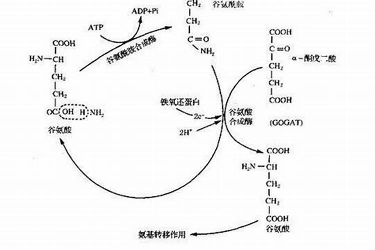 天然有机氮肥有哪些有机氮肥是什么