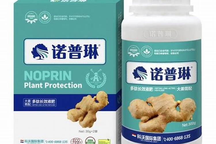 尿素可以对水喷施生姜吗？