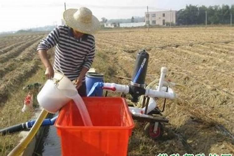 含腐植酸水溶肥料使用方法