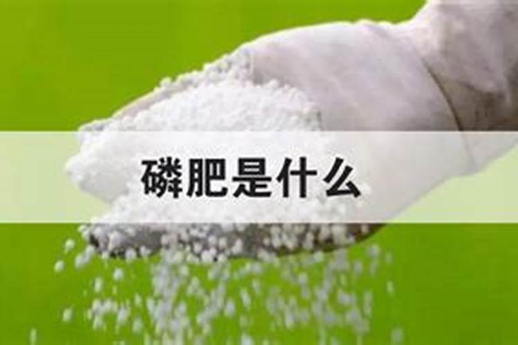 种地瓜用什么肥料好