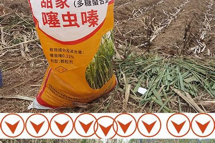 芸苔素内酯的效果,芸苔素使用方法及效果