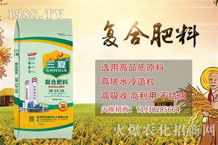 竹子施肥用什么肥料