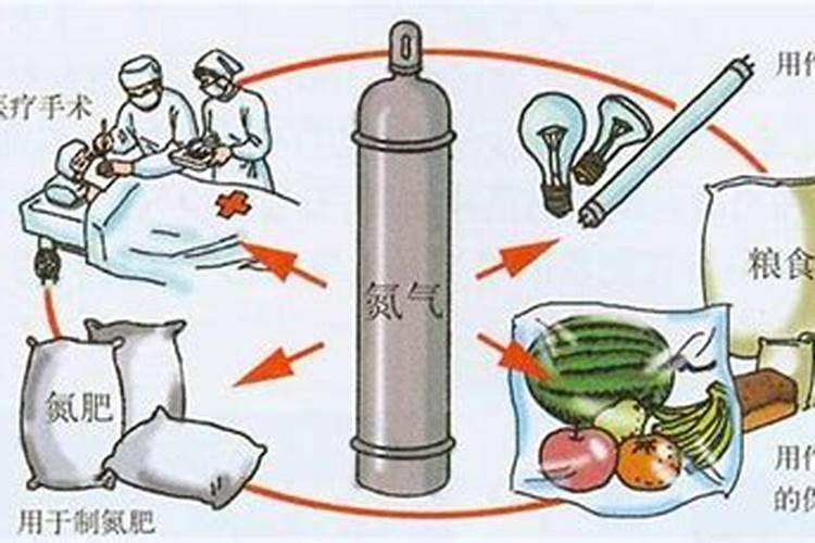 观叶植物用什么肥料好 观叶植物施什么肥为主