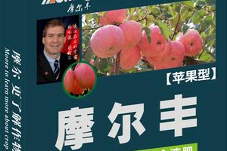 苹果树喷什么叶面肥好