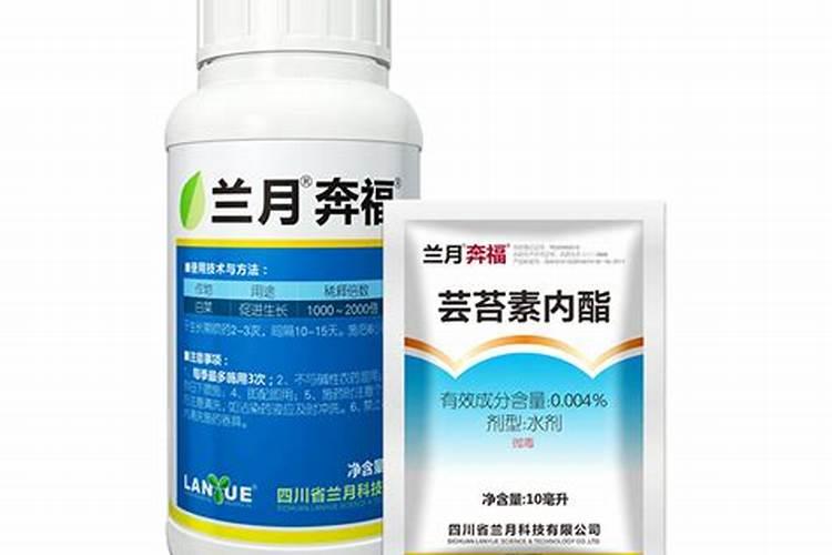 块地大白菜多种病害,求综合防治