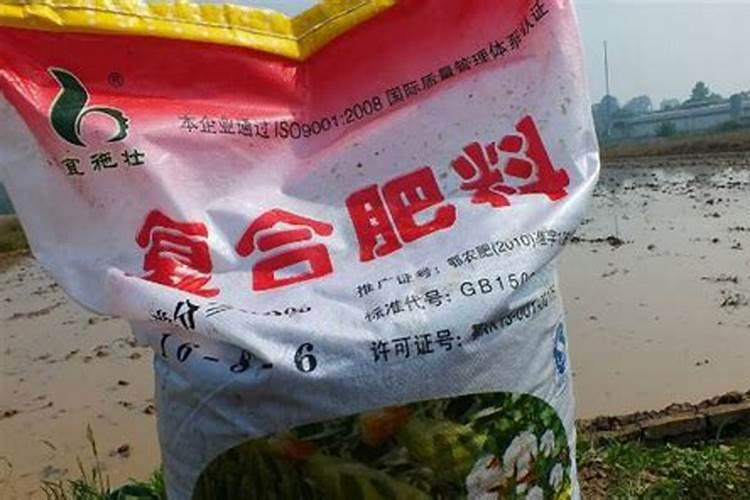 玉米底肥怎么施