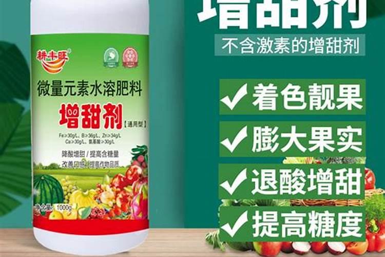 生根肥料有哪些 钾肥的作用是什么