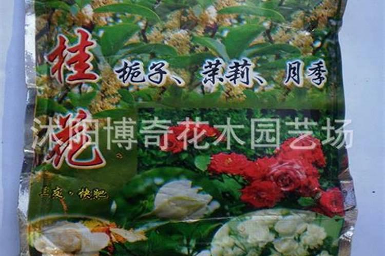 淘米水可以浇玫瑰花吗
