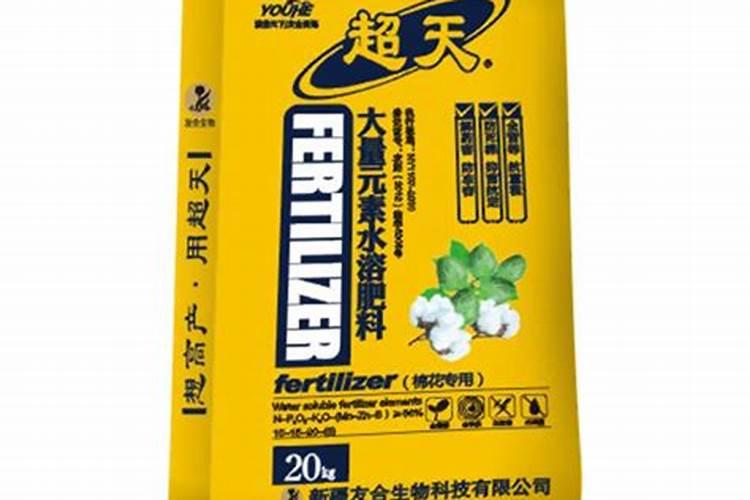 玫瑰花怎么浇水 正确的浇水方法
