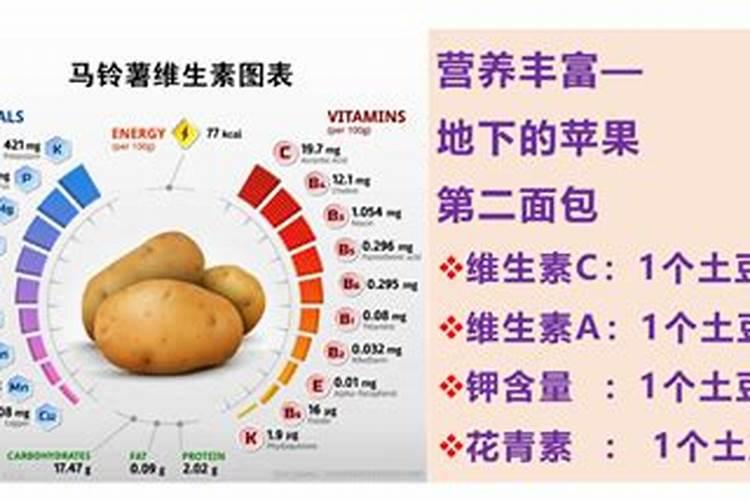 马铃薯水肥一体化怎么管理