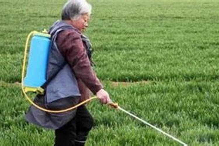 叶面肥怎么用
