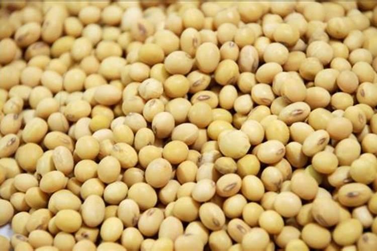 一亩大豆需要施多少化肥