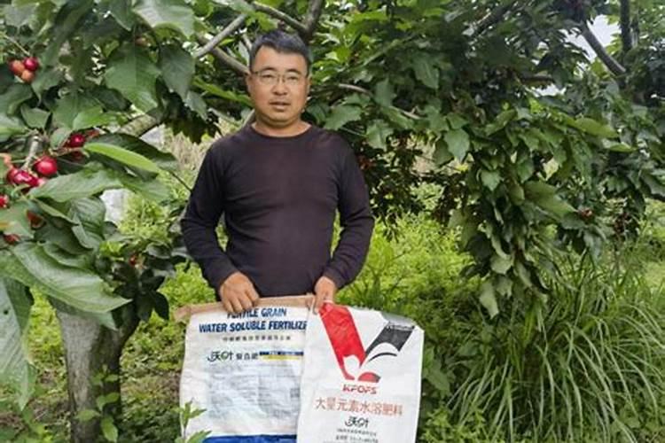 天竺葵浇什么肥料合适