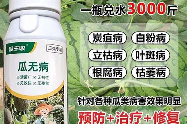 过了大寒以后可以给老祖宗上坟吗烧纸吗？