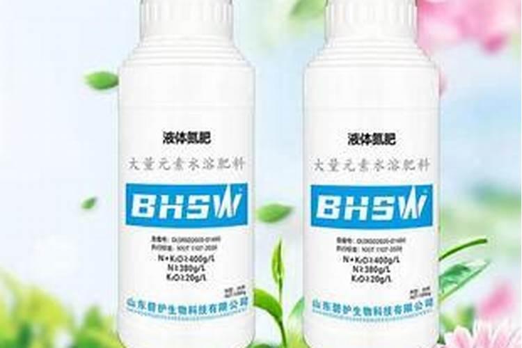 荔枝正确的嫁接方法