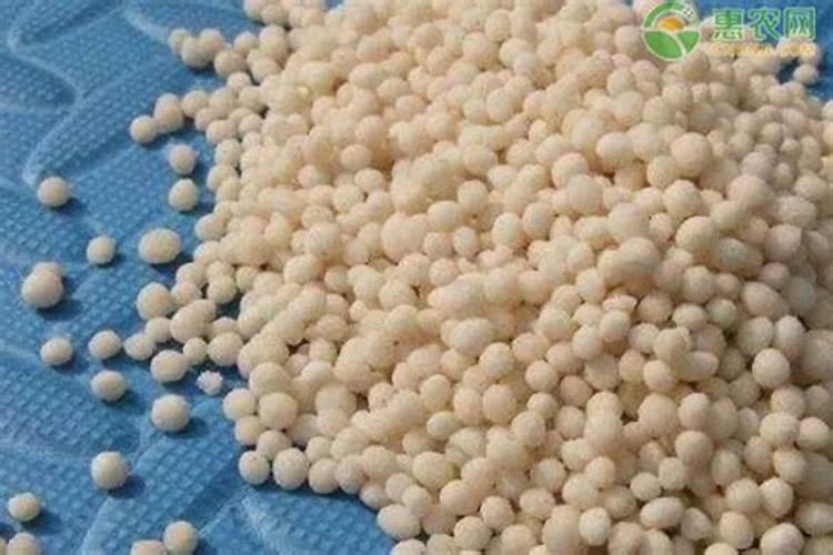 油菜硼肥的作用及使用方法