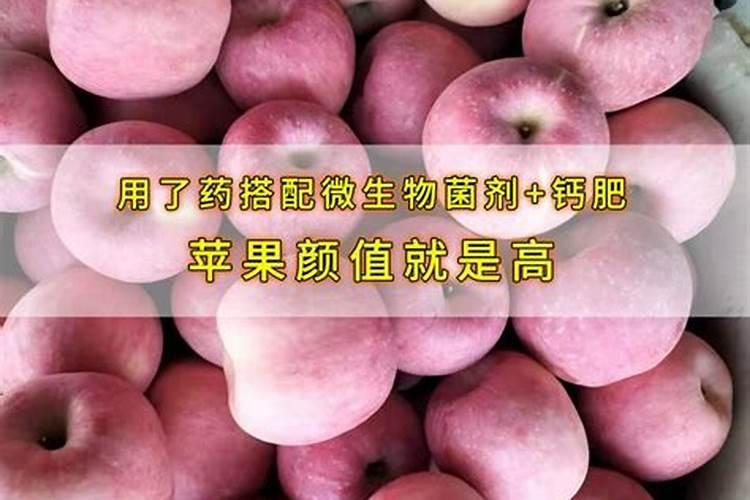 种植油菜该怎么施硼肥？
