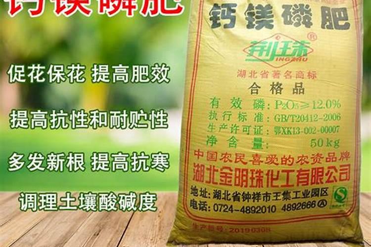 油菜底肥施用方法