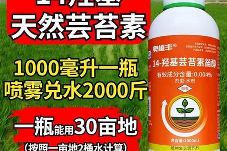 豆角喷什么药高产