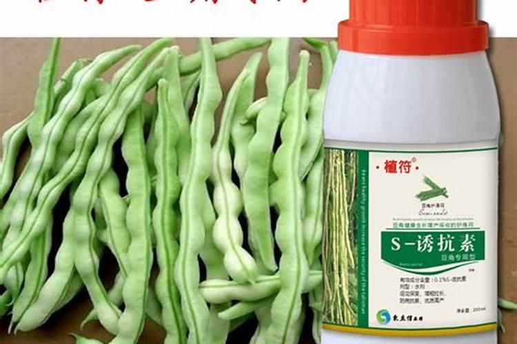 豆角开花结豆时能用赤吲乙芸苔吗