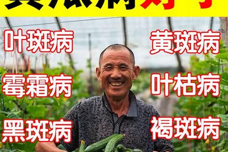 大寒可以动土是哪几天