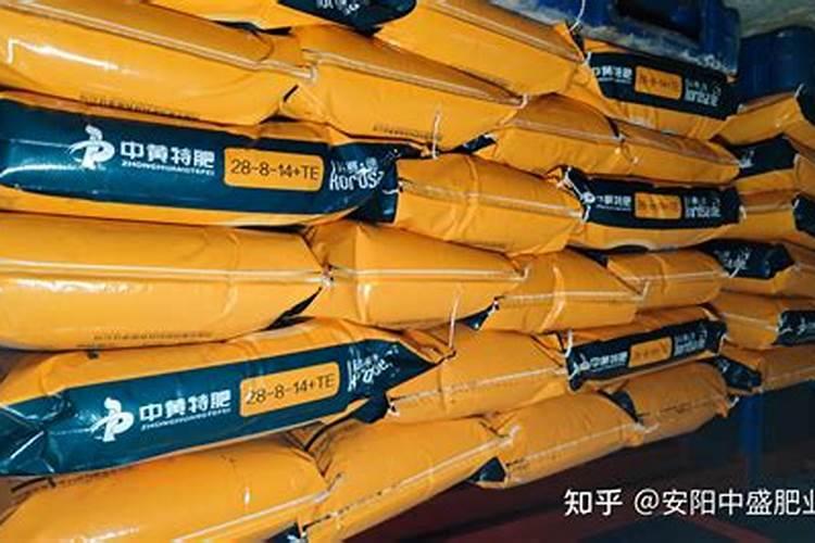 新栽的枇杷树苗多久可以发芽
