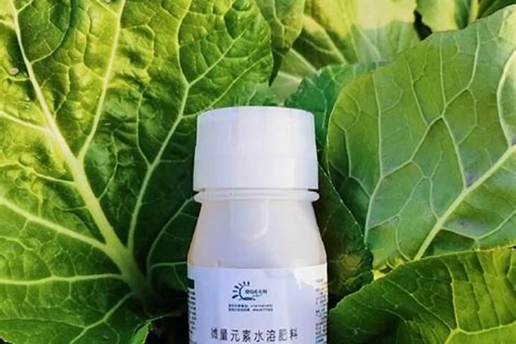 磷肥适合哪些蔬菜
