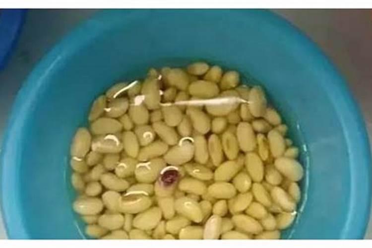 磷肥种菜的使用方法