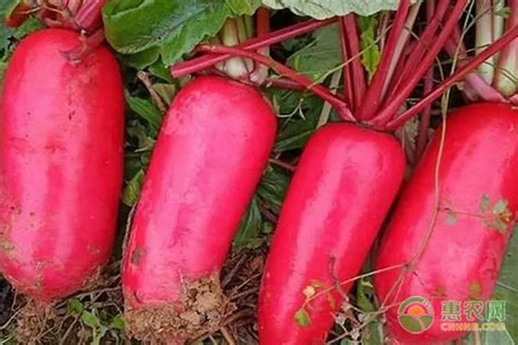 生产化肥的原材料磷矿自然排放氟化氢