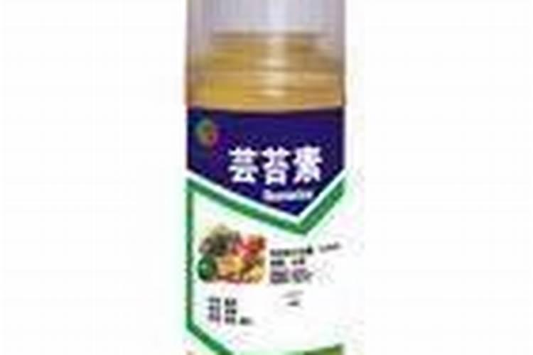 小麦冬前要喷芸苔素吗