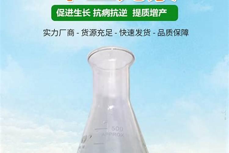 立秋以后如何养茶花避免花苞掉落
