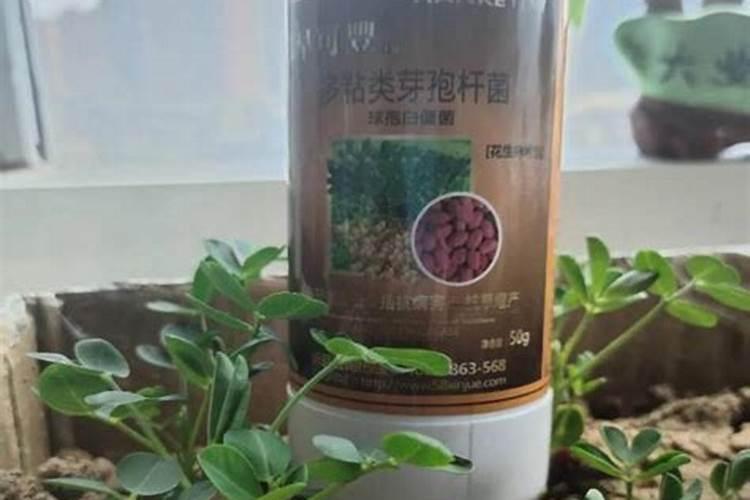 钠钾镁钙葡萄糖注射液是什么药