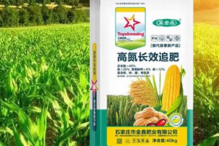 草坪施尿素好还是复合肥好