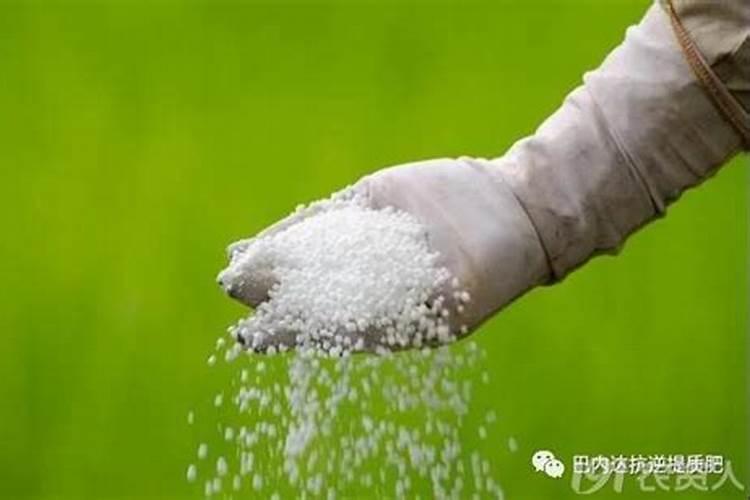 叶面肥复硝酚钠与尿素配比