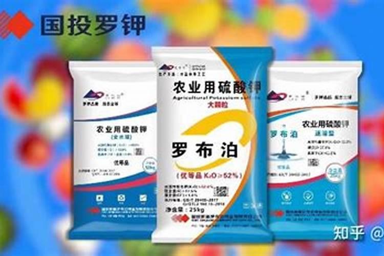 芹菜生长到什么时期喷施钾肥效果最好芹菜生长到什么时期啧施钾肥最好...