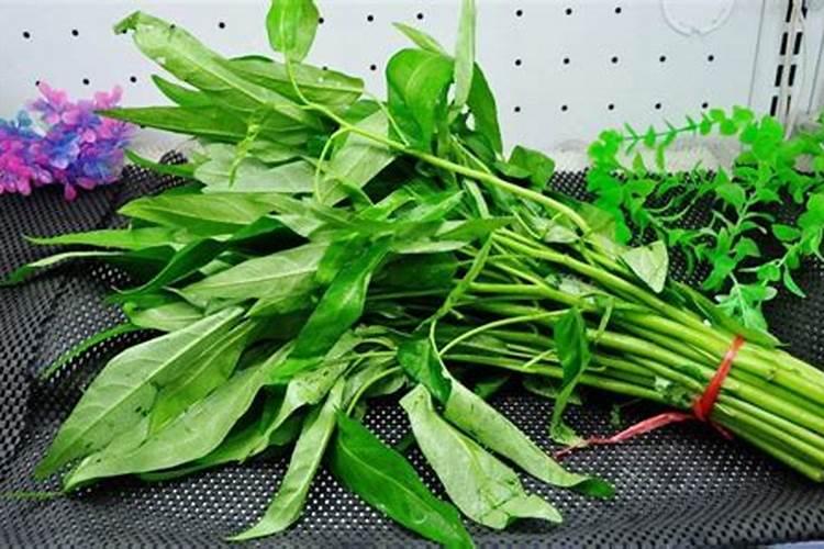 空心菜施什么肥料最嫩