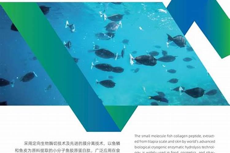 鱼蛋白肥料的功效与作用