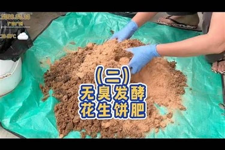 如何正确磷肥施用,应该注意哪些要点