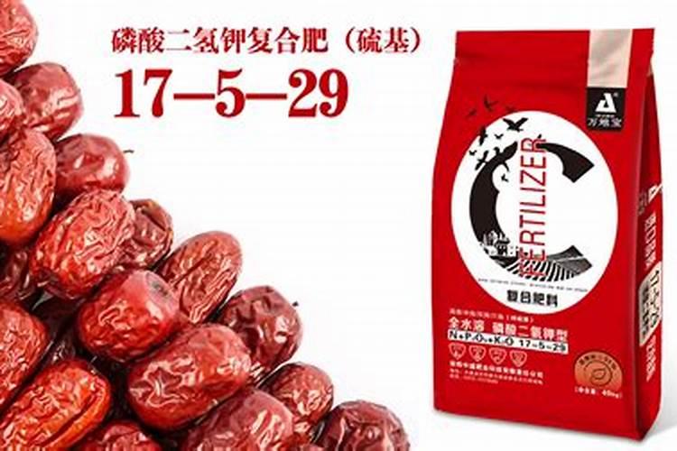 青枣还没开花,刚开始长花姑朵儿的时候,能施肥吗？施什么肥料好呢!